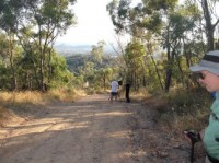 Nail Can Hill