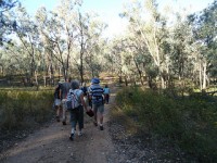 Dinner at the Stump Hotel / Easy Evening Walk Huon Hill 