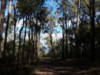  Rain Gear testing ,12km km grade 3 Day Walk from Shelley to Koetong along the rail trail