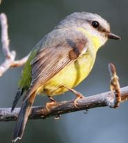 Castle Creek Nature Walk Grade 2 Morning 6km 2 hours