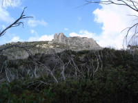 Mt Buffalo South View Point grade 3, 7 km