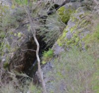 Exploring the gorges on Nail Can Hill
