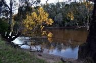 Murray River / Huon Hill