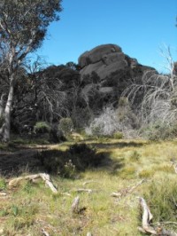 Wandering near Corral Peak