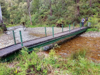 Harrietville to Hotham via Bon Accord Spur -   Day Walk Grade 4, 16km Cancelled