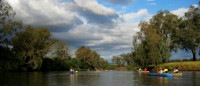 Murray River backwater canoe 17km Grade 4