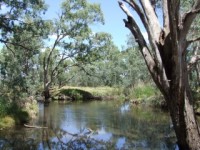 Wonga Wetlands wandering