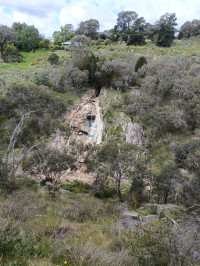 Beechworth, Gorge Rd, Newtown Falls to Spring Creek Bridge, 5 kms return, Grade 1.