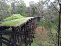 Rail Trail from Shelley to Farm Shop on 6658 Murray Valley Hwy. 14km grade 3