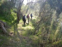 Huon Hill morning walk