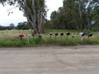 Wooragee to Beechworth Rail Trail. 10km. Grade 3