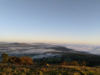 Mahers Hill Loop Walk, 10 km, Grade 3 - EVENT CANCELLED