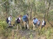 Overnight Hike Wild Horse Creek