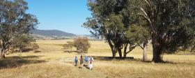 collaroy farm walk