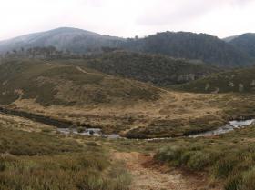 the tooma river below wheelers hut