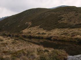 Tooma river near wheelers hut