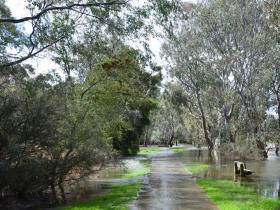 floods spring 2016-2 (Large)