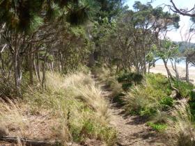 Paper Beach walk