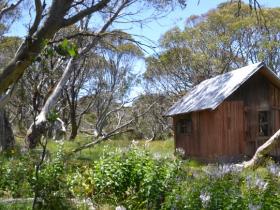 jb plain hut jan 2018