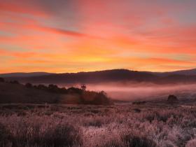 morning light at wheelers hut