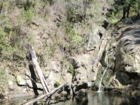 Holwell Falls lower