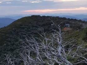 Federation Hut View