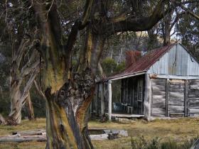 wheelers hut