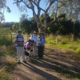 lower kiewa river walk