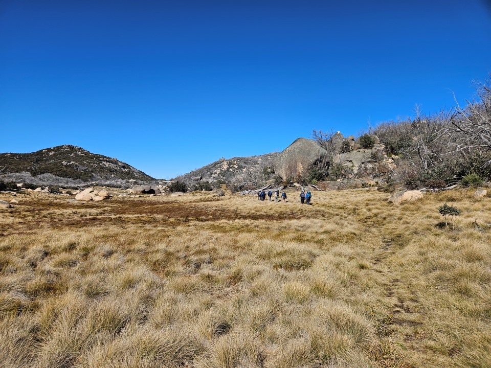 MT Buffalo