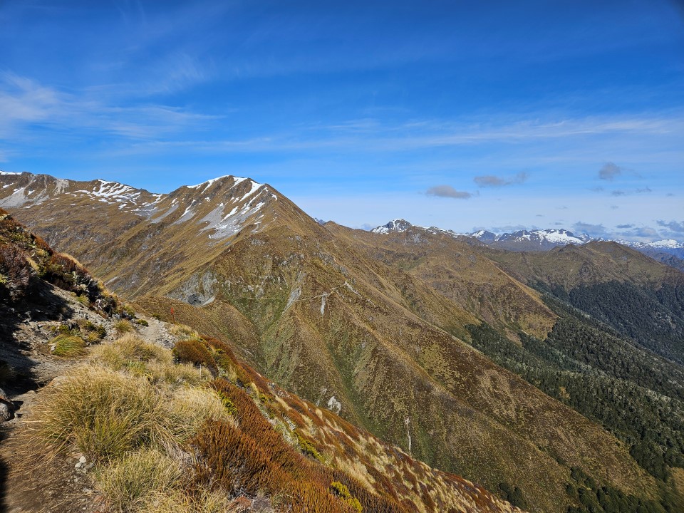 Kepler Track 4