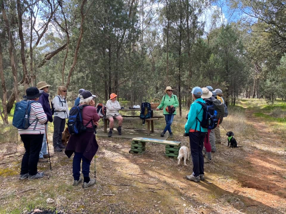 Redlands Hill Reserve