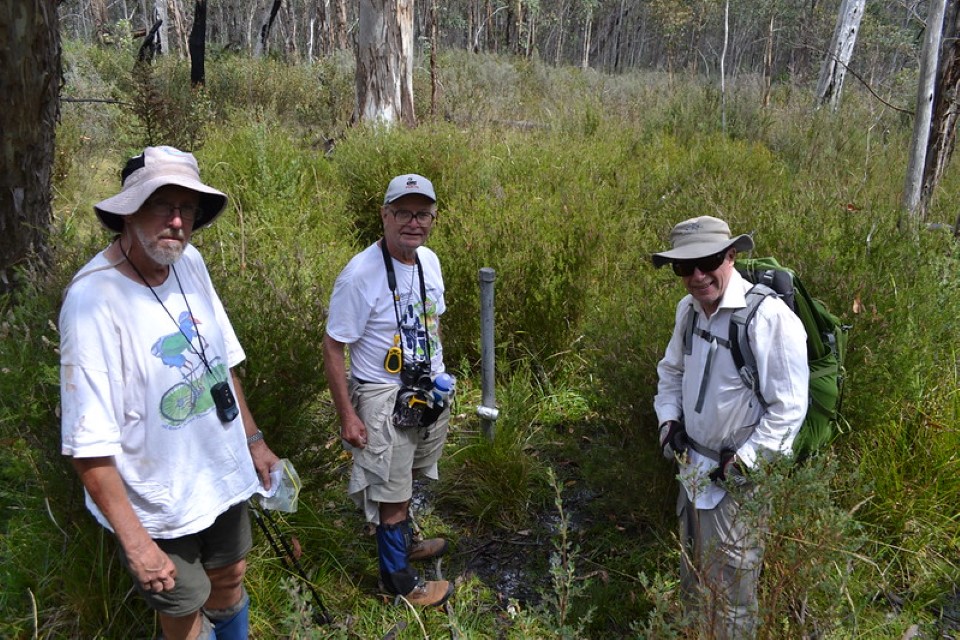 Murray River source 2013