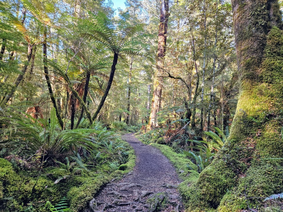 Kepler Track